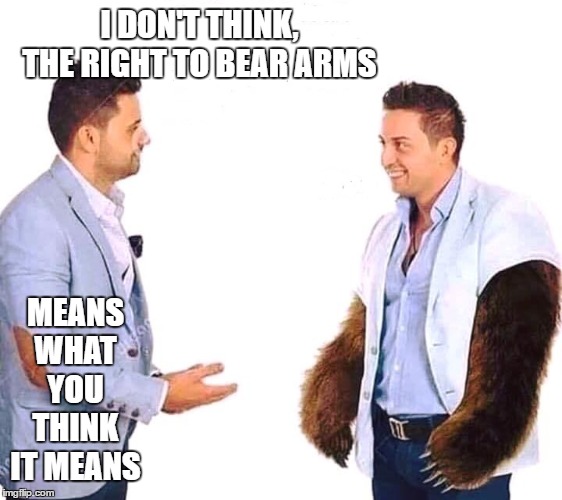 I like my 2nd amendment. | I DON'T THINK, THE RIGHT TO BEAR ARMS; MEANS WHAT YOU THINK IT MEANS | image tagged in 2nd amendment,random,usa,the constitution,gun rights | made w/ Imgflip meme maker