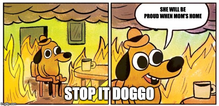 This Is Fine Meme | SHE WILL BE PROUD WHEN MOM'S HOME; STOP IT DOGGO | image tagged in this is fine dog | made w/ Imgflip meme maker