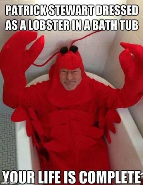 Patrick Stewart is a god | image tagged in patrick stewart | made w/ Imgflip meme maker