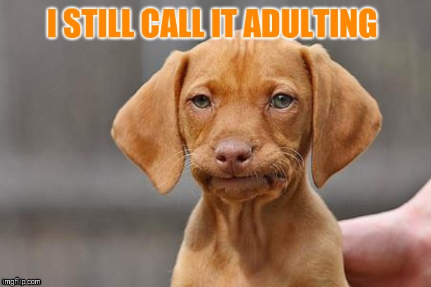 Dissapointed puppy | I STILL CALL IT ADULTING | image tagged in dissapointed puppy | made w/ Imgflip meme maker