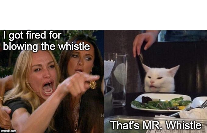 Whistleblower | I got fired for blowing the whistle; That's MR. Whistle | image tagged in memes,woman yelling at cat,smudge the cat | made w/ Imgflip meme maker