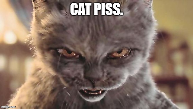 Evil Cat | CAT PISS. | image tagged in evil cat | made w/ Imgflip meme maker