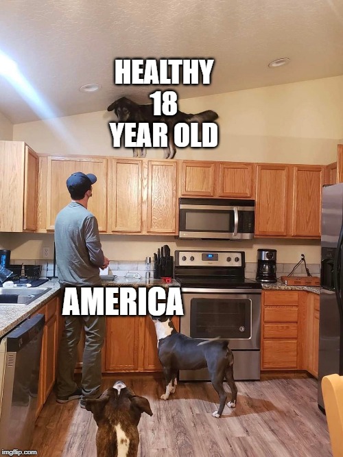 uh oh.. | HEALTHY 18 YEAR OLD; AMERICA | image tagged in dogs | made w/ Imgflip meme maker