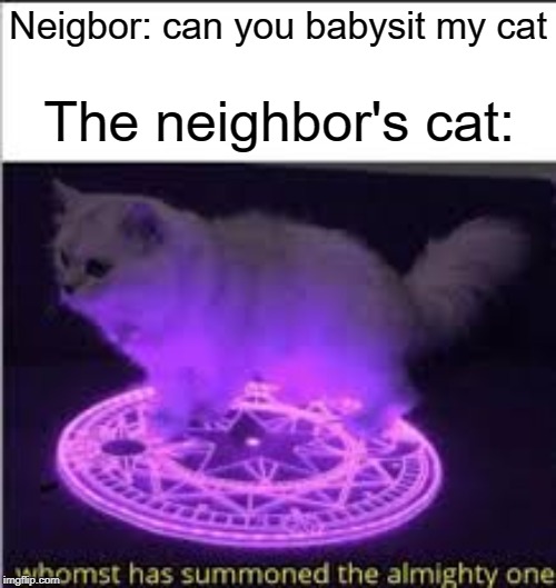 I don't want to do that | The neighbor's cat:; Neigbor: can you babysit my cat | image tagged in whomst has summoned the almighty one,funny,memes,neighbors,cats,babysitter | made w/ Imgflip meme maker
