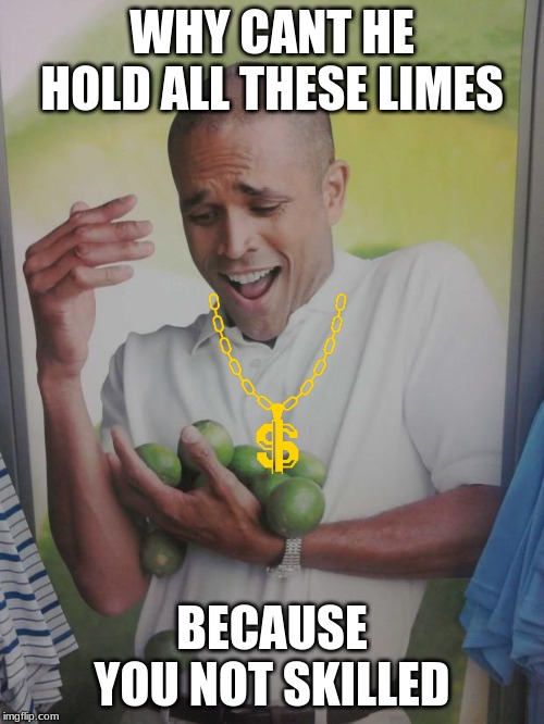 Why Can't I Hold All These Limes | WHY CANT HE HOLD ALL THESE LIMES; BECAUSE YOU NOT SKILLED | image tagged in memes,why can't i hold all these limes | made w/ Imgflip meme maker