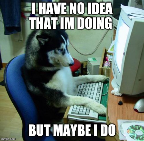 I Have No Idea What I Am Doing | I HAVE NO IDEA THAT IM DOING; BUT MAYBE I DO | image tagged in memes,i have no idea what i am doing | made w/ Imgflip meme maker