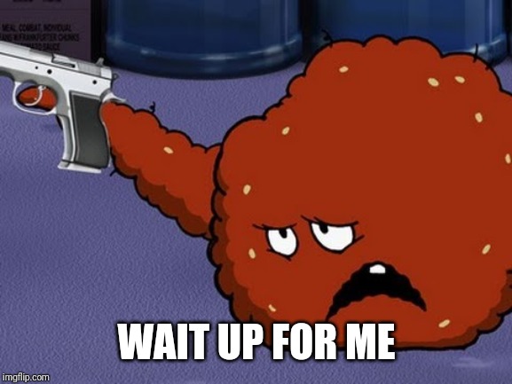 Meatwad with a gun | WAIT UP FOR ME | image tagged in meatwad with a gun | made w/ Imgflip meme maker