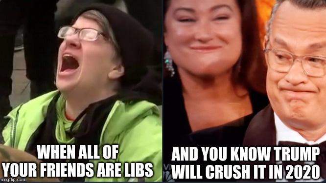 AND YOU KNOW TRUMP WILL CRUSH IT IN 2020; WHEN ALL OF YOUR FRIENDS ARE LIBS | image tagged in politics | made w/ Imgflip meme maker