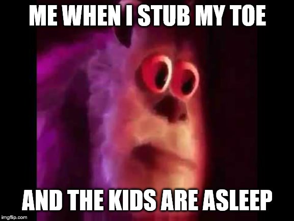 Sully Groan | ME WHEN I STUB MY TOE; AND THE KIDS ARE ASLEEP | image tagged in sully groan | made w/ Imgflip meme maker