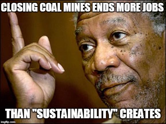A bird in each hand is better than one in the bush | CLOSING COAL MINES ENDS MORE JOBS; THAN "SUSTAINABILITY" CREATES | image tagged in coal mines,sustainability,jobs,economy | made w/ Imgflip meme maker