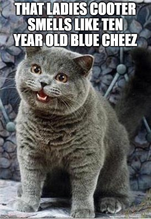 I can has cheezburger cat | THAT LADIES COOTER SMELLS LIKE TEN YEAR OLD BLUE CHEEZ | image tagged in i can has cheezburger cat | made w/ Imgflip meme maker