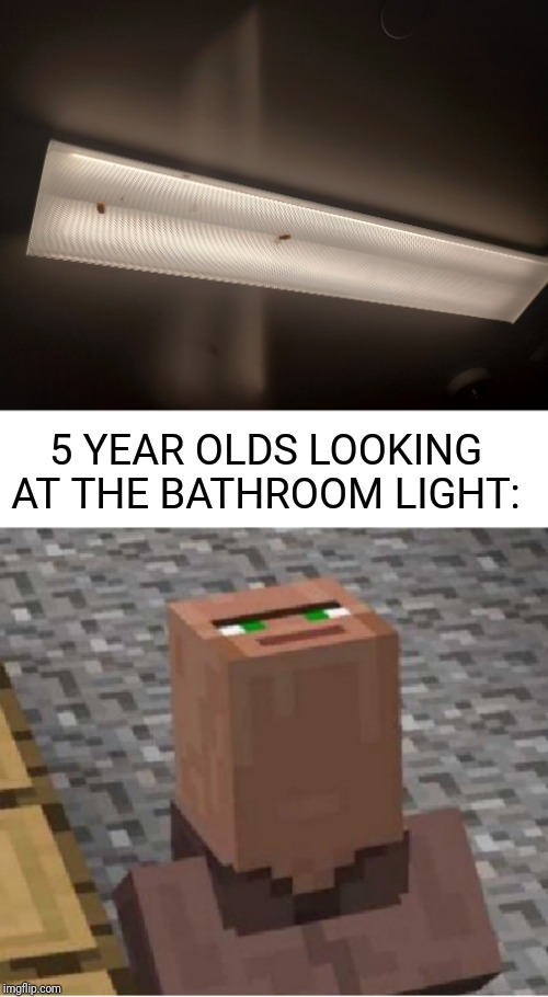 5 YEAR OLDS LOOKING AT THE BATHROOM LIGHT: | image tagged in minecraft villager looking up,bathroom,light,bugs | made w/ Imgflip meme maker