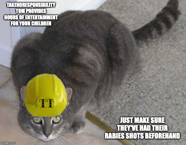 Tomcat | TAKENORESPONSIBILITY TOM PROVIDES HOURS OF ENTERTAINMENT FOR YOUR CHILDREN; JUST MAKE SURE THEY'VE HAD THEIR RABIES SHOTS BEFOREHAND | image tagged in cats,memes,holidays | made w/ Imgflip meme maker