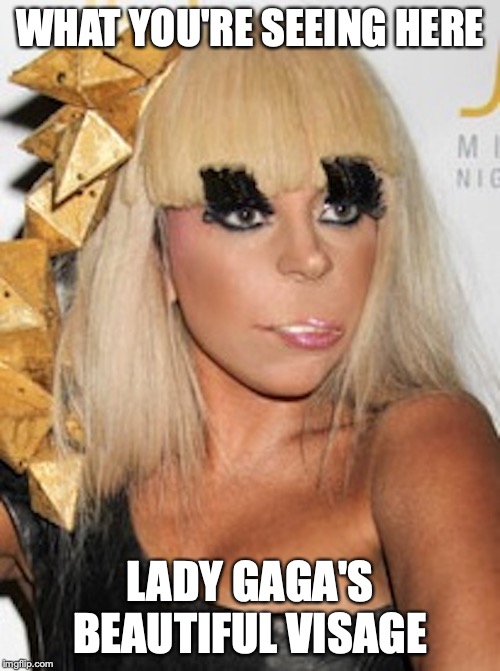 Lady Gaga's Visage | WHAT YOU'RE SEEING HERE; LADY GAGA'S BEAUTIFUL VISAGE | image tagged in lady gaga,memes,funny,visage | made w/ Imgflip meme maker