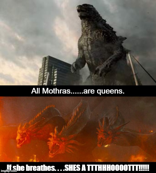 All Mothras......are queens. If she breathes. . . .SHES A TTTHHHOOOOTTT!!!!! | image tagged in legendary king ghidorah | made w/ Imgflip meme maker