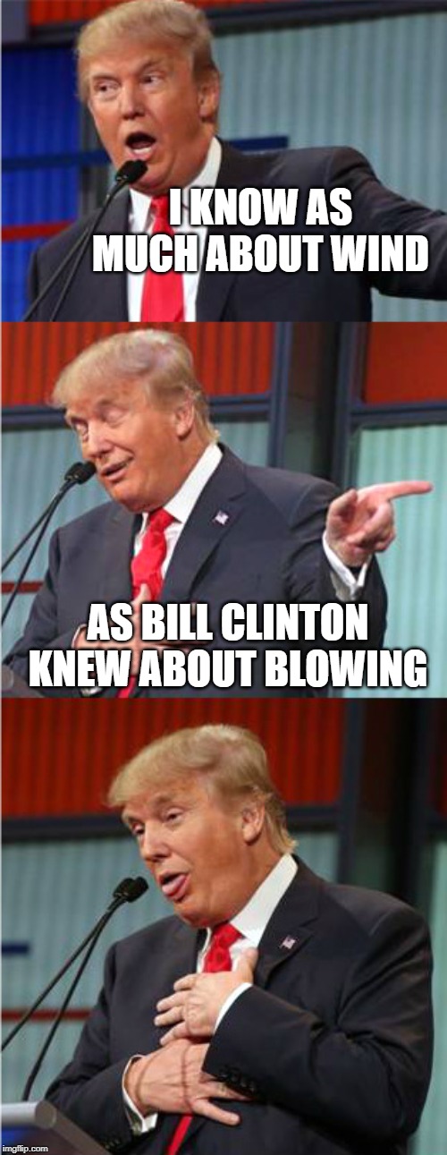 Remember that time he talked about wind | I KNOW AS MUCH ABOUT WIND; AS BILL CLINTON KNEW ABOUT BLOWING | image tagged in bad pun trump,memes,clinton,blow,wind | made w/ Imgflip meme maker