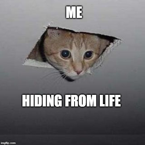 Ceiling Cat Meme | ME; HIDING FROM LIFE | image tagged in memes,ceiling cat | made w/ Imgflip meme maker