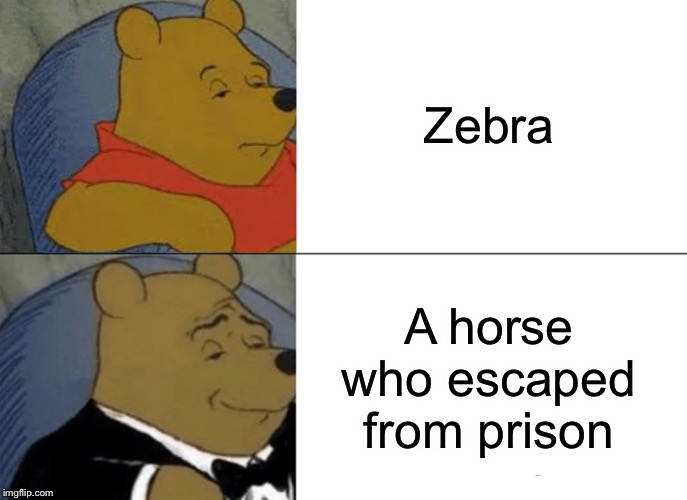 WHY THE HECK | Zebra; A horse who escaped from prison | image tagged in memes,tuxedo winnie the pooh,zebra,prison,horse,different | made w/ Imgflip meme maker