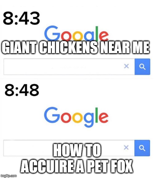 google before after | GIANT CHICKENS NEAR ME; HOW TO ACCUIRE A PET FOX | image tagged in google before after | made w/ Imgflip meme maker