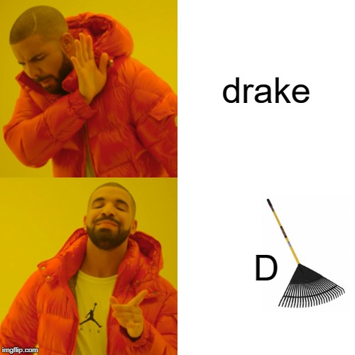 Drake Hotline Bling Meme | drake; D | image tagged in memes,drake hotline bling | made w/ Imgflip meme maker