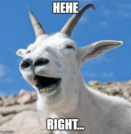 Laughing Goat Meme | HEHE; RIGHT... | image tagged in memes,laughing goat | made w/ Imgflip meme maker