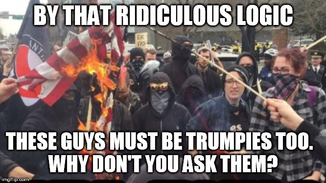 Antifa Democrat Leftist Terrorist | BY THAT RIDICULOUS LOGIC THESE GUYS MUST BE TRUMPIES TOO.  
WHY DON'T YOU ASK THEM? | image tagged in antifa democrat leftist terrorist | made w/ Imgflip meme maker