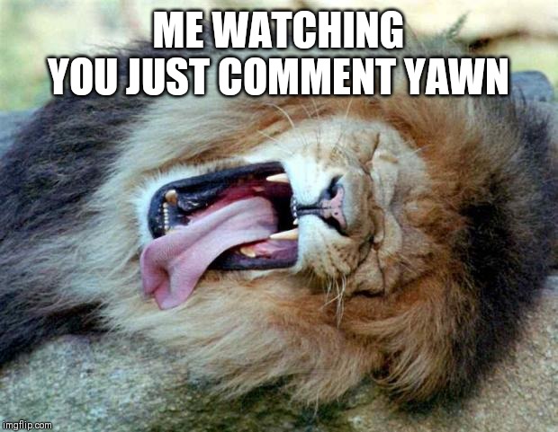 Lion Yawning | ME WATCHING YOU JUST COMMENT YAWN | image tagged in lion yawning | made w/ Imgflip meme maker