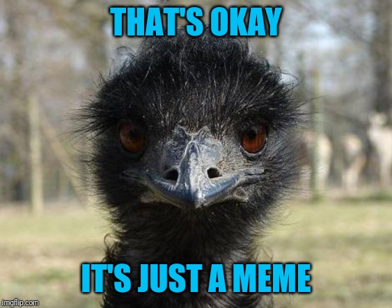 Bad News Emu | THAT'S OKAY IT'S JUST A MEME | image tagged in bad news emu | made w/ Imgflip meme maker