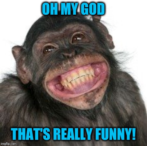 Grinning Chimp | OH MY GOD THAT'S REALLY FUNNY! | image tagged in grinning chimp | made w/ Imgflip meme maker