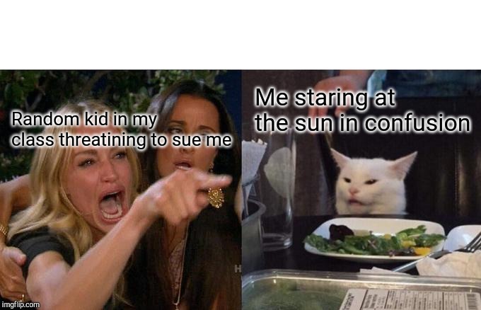 Woman Yelling At Cat | Me staring at the sun in confusion; Random kid in my class threatining to sue me | image tagged in memes,woman yelling at cat | made w/ Imgflip meme maker