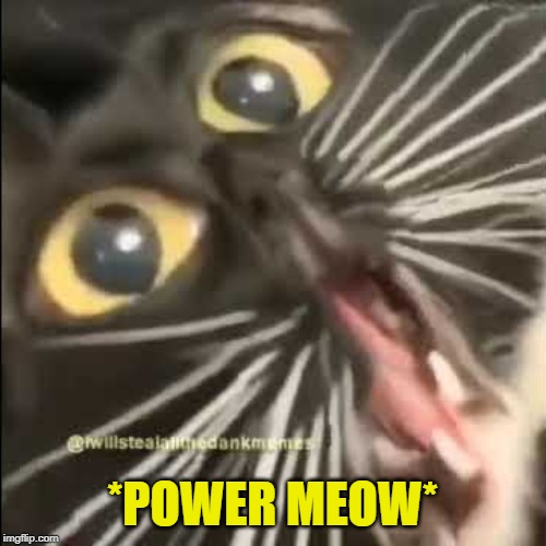 *POWER MEOW* | made w/ Imgflip meme maker