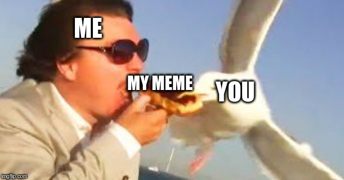 swiping seagull | ME; MY MEME; YOU | image tagged in swiping seagull | made w/ Imgflip meme maker