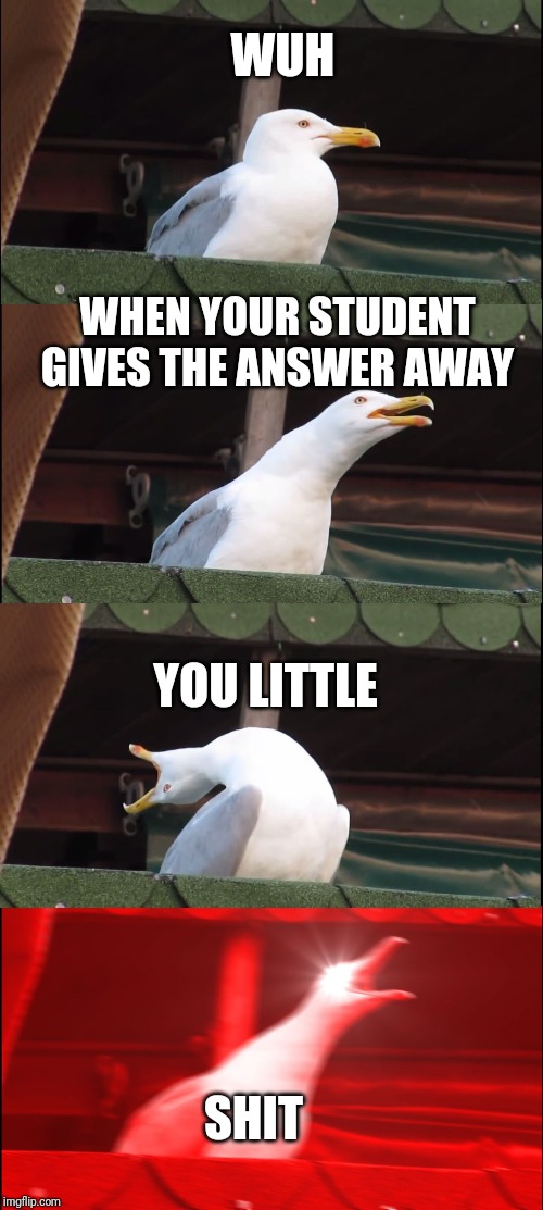 Inhaling Seagull | WUH; WHEN YOUR STUDENT GIVES THE ANSWER AWAY; YOU LITTLE; SHIT | image tagged in memes,inhaling seagull | made w/ Imgflip meme maker