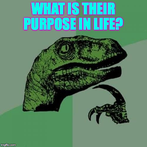 Philosoraptor Meme | WHAT IS THEIR PURPOSE IN LIFE? | image tagged in memes,philosoraptor | made w/ Imgflip meme maker