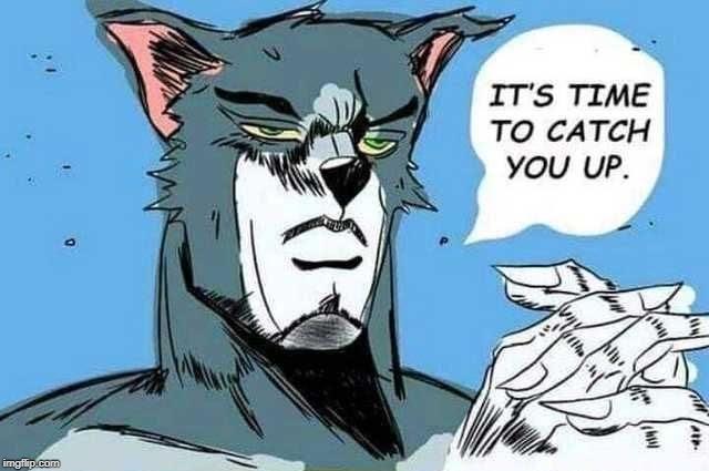 Cats when they see their prey | image tagged in cat,tom and jerry,jojo meme | made w/ Imgflip meme maker