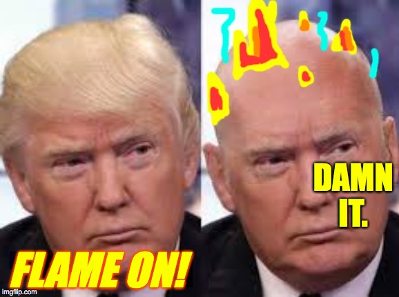 The Human Dork  ( : | DAMN
IT. FLAME ON! | image tagged in memes,trump,dork,thanks again to teirney | made w/ Imgflip meme maker