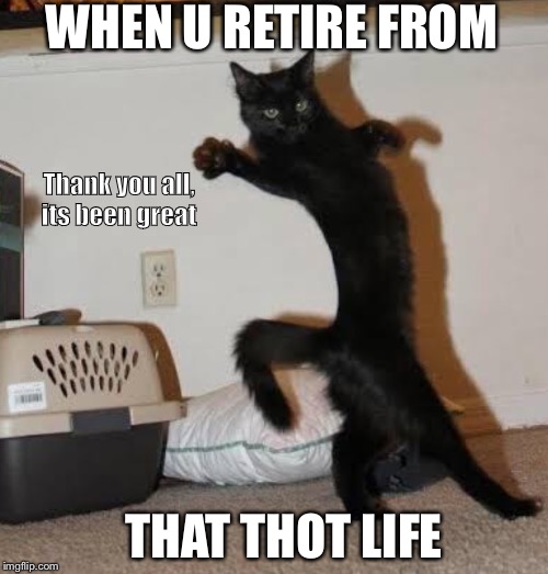 Thot life | WHEN U RETIRE FROM; Thank you all, its been great; THAT THOT LIFE | image tagged in cats,funny cats,thots,funny cat memes,cat memes,girls | made w/ Imgflip meme maker