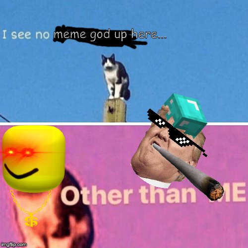 Hail pole cat | meme god up here... | image tagged in hail pole cat | made w/ Imgflip meme maker