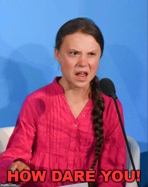 Greta Thunberg how dare you | HOW DARE YOU! | image tagged in greta thunberg how dare you | made w/ Imgflip meme maker