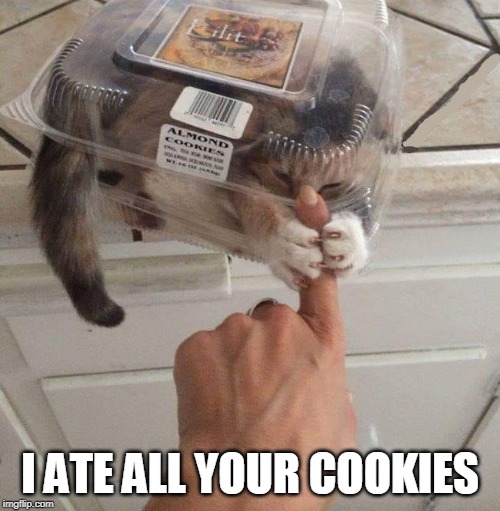 COOKIE KITTY | I ATE ALL YOUR COOKIES | image tagged in cookies,cats,cat memes | made w/ Imgflip meme maker