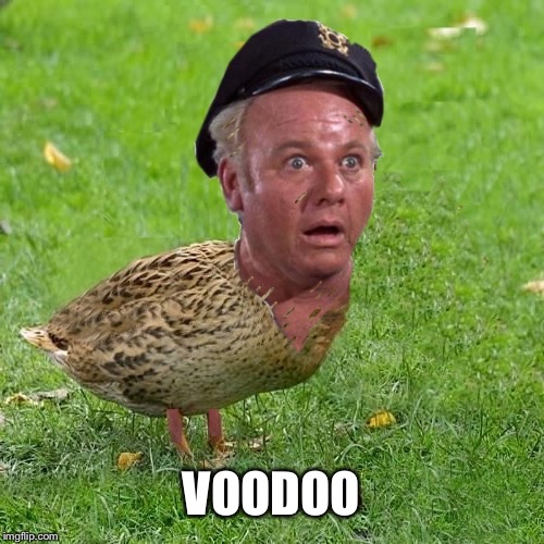 Skipper Duck | VOODOO | image tagged in skipper duck | made w/ Imgflip meme maker