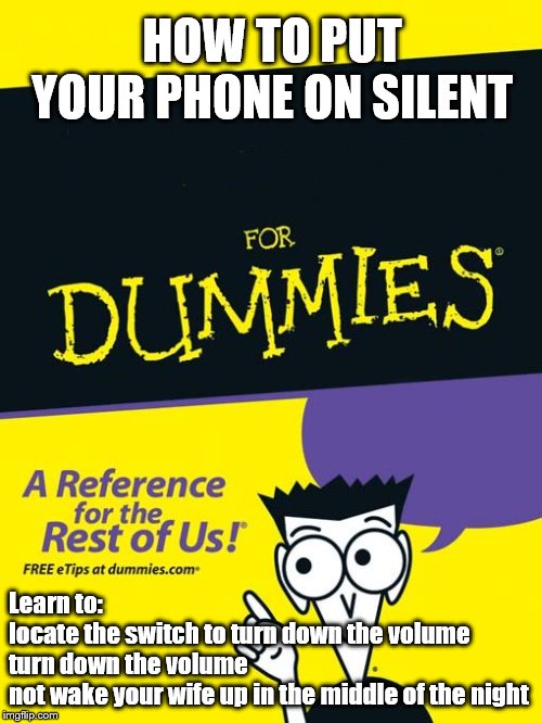 For dummies book | HOW TO PUT YOUR PHONE ON SILENT; Learn to:
locate the switch to turn down the volume
turn down the volume
not wake your wife up in the middle of the night | image tagged in for dummies book | made w/ Imgflip meme maker