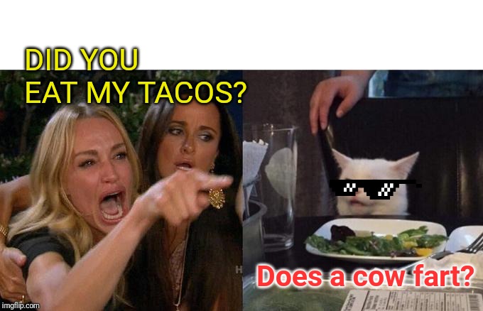 Woman Yelling At Cat Meme | DID YOU EAT MY TACOS? Does a cow fart? | image tagged in memes,woman yelling at cat | made w/ Imgflip meme maker