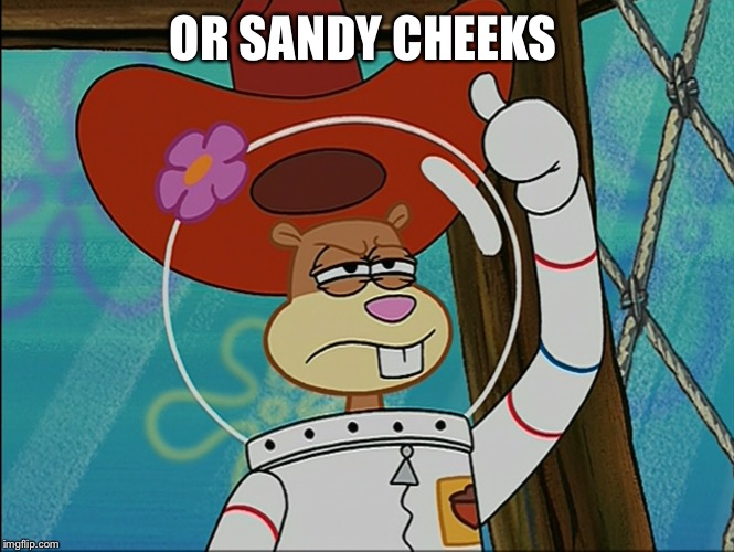 Sandy Cheeks | OR SANDY CHEEKS | image tagged in sandy cheeks | made w/ Imgflip meme maker