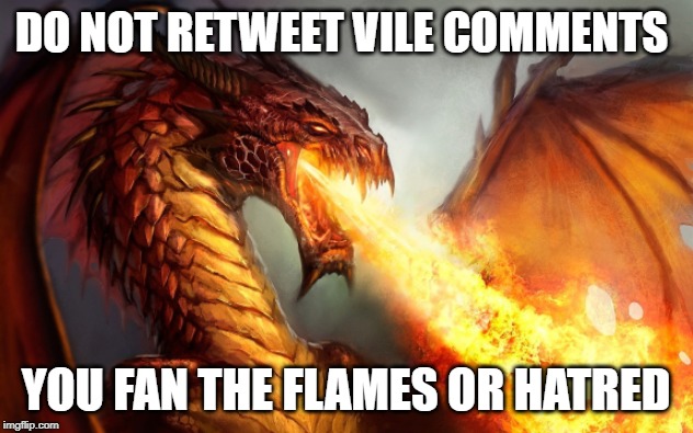 Fire breathing dragon  | DO NOT RETWEET VILE COMMENTS; YOU FAN THE FLAMES OR HATRED | image tagged in fire breathing dragon | made w/ Imgflip meme maker