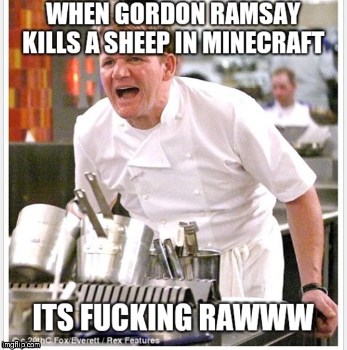 image tagged in minecraft,gordon ramsey | made w/ Imgflip meme maker