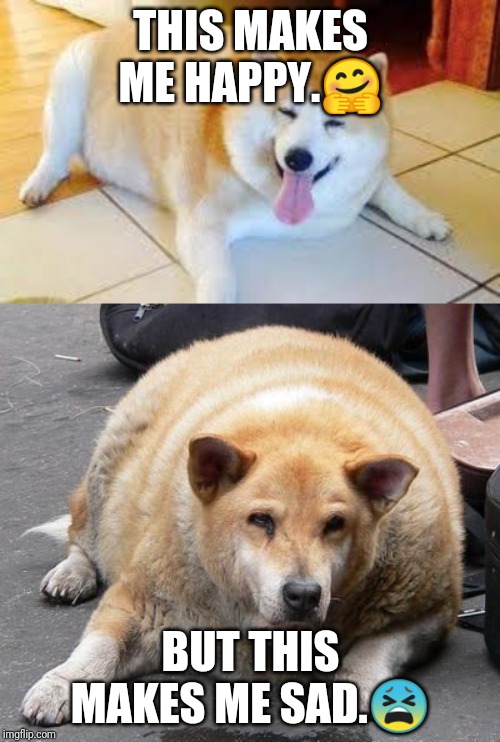THIS MAKES ME HAPPY.? BUT THIS MAKES ME SAD.? | image tagged in fat dog,thicc doggo | made w/ Imgflip meme maker