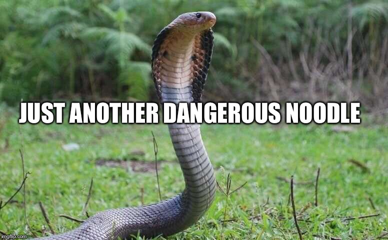 JUST ANOTHER DANGEROUS NOODLE | image tagged in memes | made w/ Imgflip meme maker