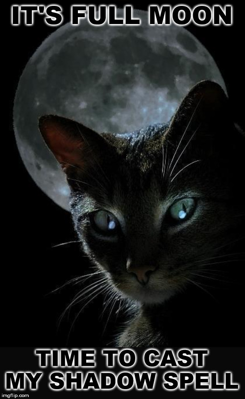 IT'S FULL MOON TIME TO CAST MY SHADOW SPELL | made w/ Imgflip meme maker