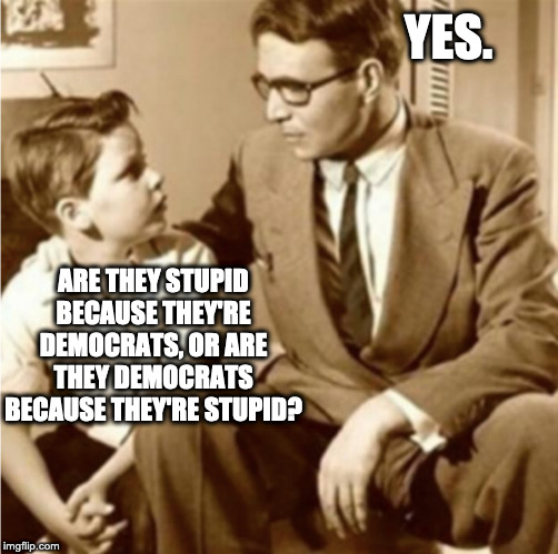 A REASONABLE QUESTION | YES. ARE THEY STUPID BECAUSE THEY'RE DEMOCRATS, OR ARE THEY DEMOCRATS BECAUSE THEY'RE STUPID? | image tagged in democrats | made w/ Imgflip meme maker